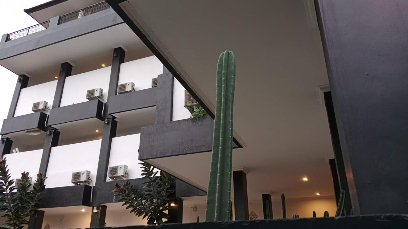 Nomad Hub Canggu Dış mekan fotoğraf